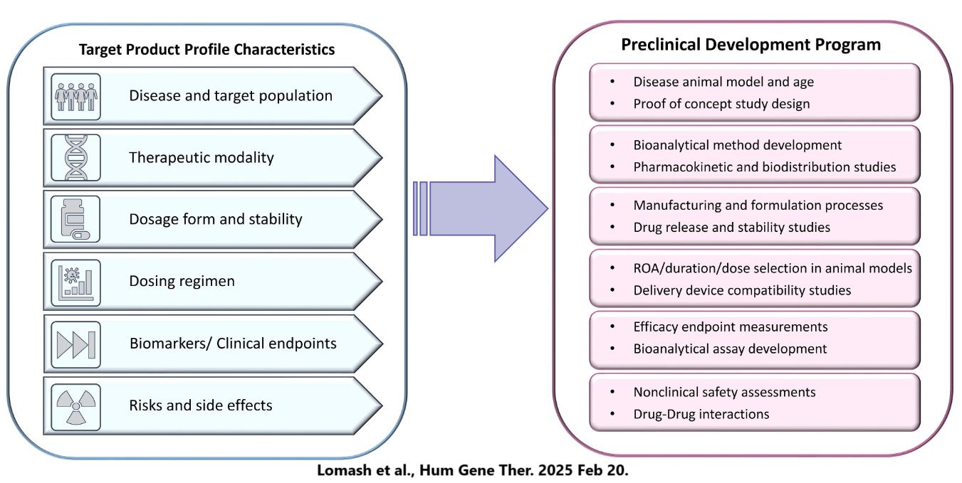 TPP-streamlines-the-preclinical-drug-development-process-for-clinical-considerations