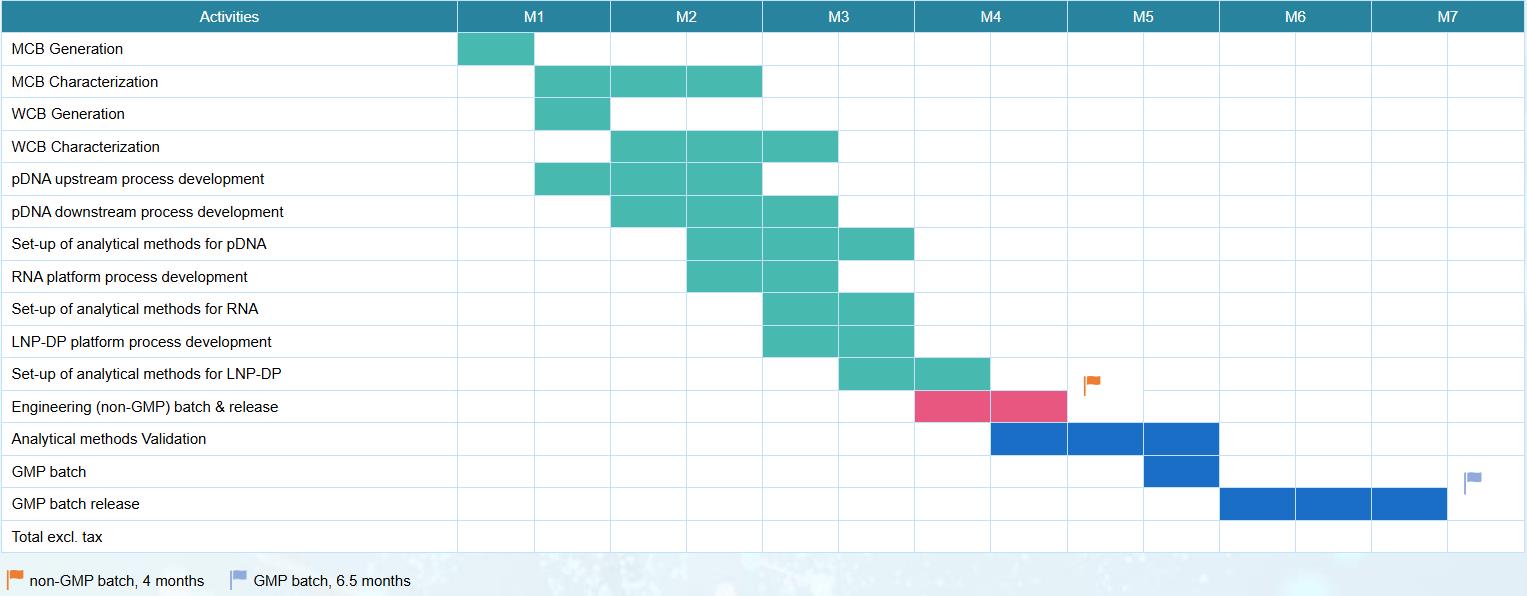 project timeline
