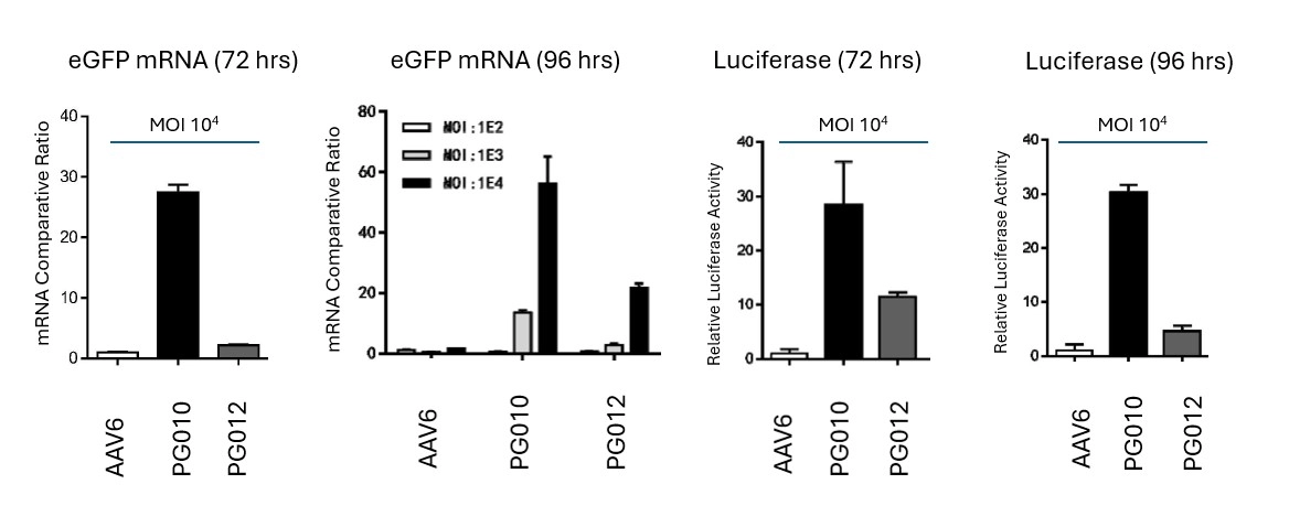Infection-of-Quiescent-Primary-Human-T-Cells-with-Novel-PackGene-AAV6-Serotypes-–-mRNA-and-luciferase
