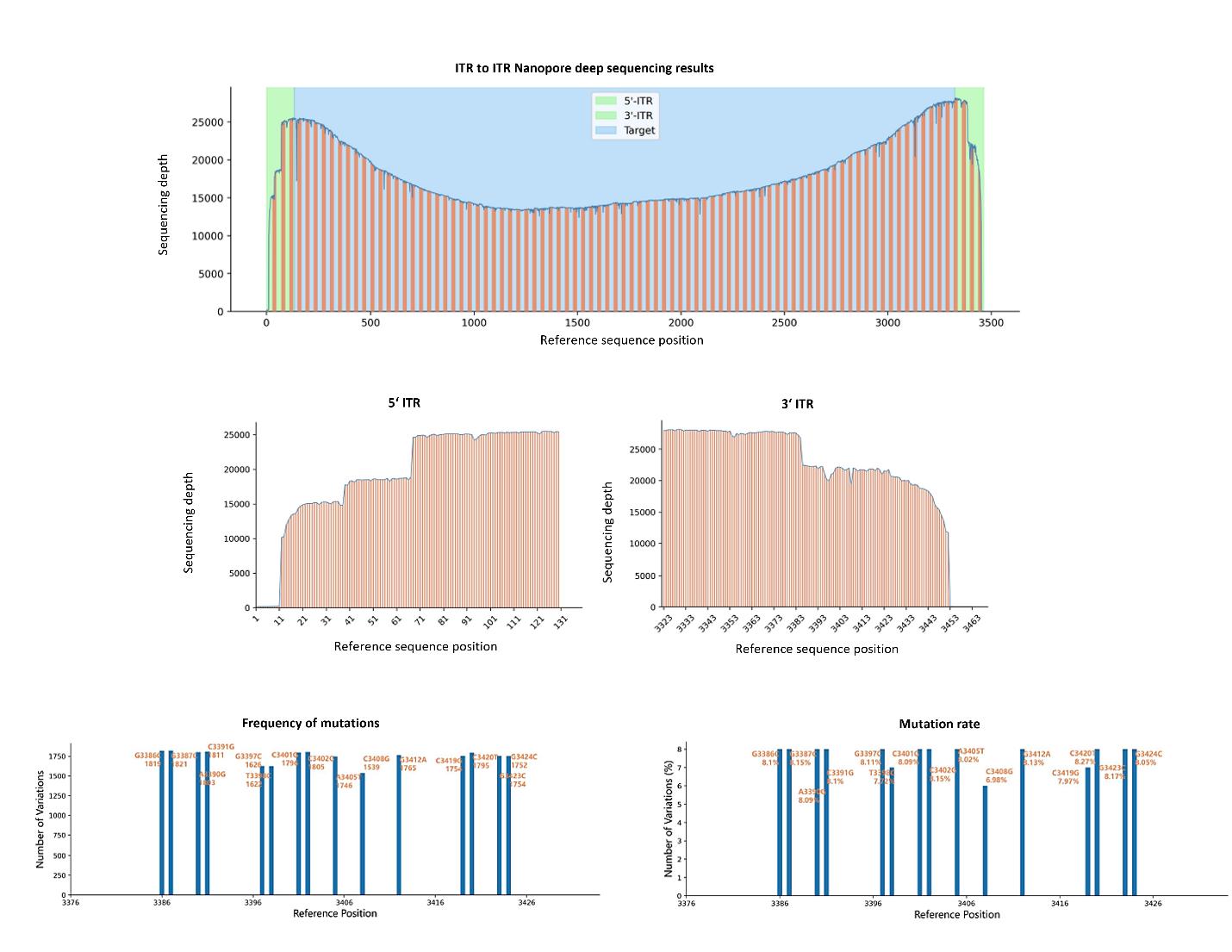 Nanopore-sequencing-reads-depth-from-5-ITR-to-3-ITR