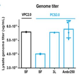 PCS3.0 cell line performance in ssAAV9 AAV production
