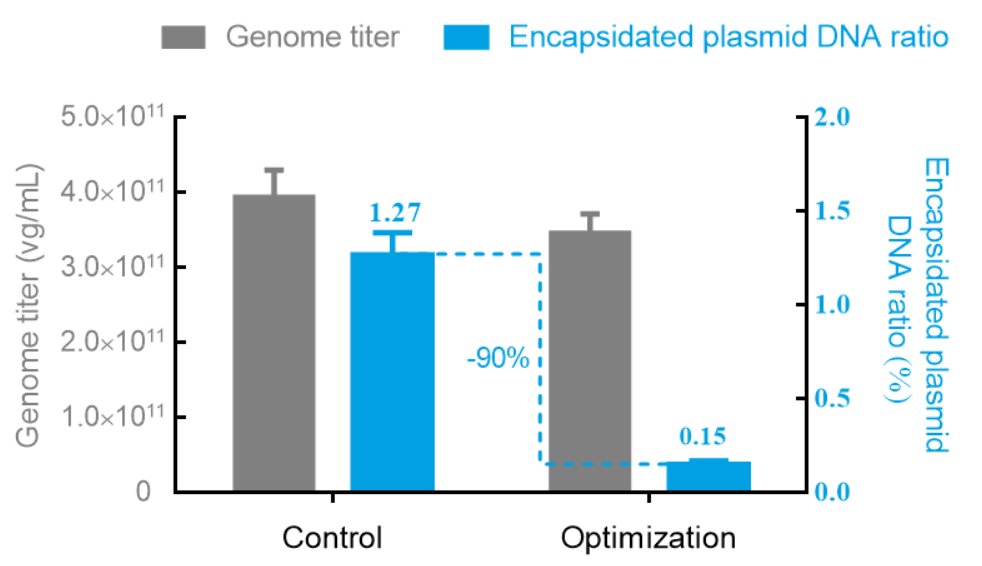 Process optimization significantly minimizes encapsidated plasmid DNA